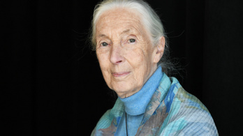 Jane Goodall videóban üzent a magyaroknak a természetvédelmi területek fontosságáról