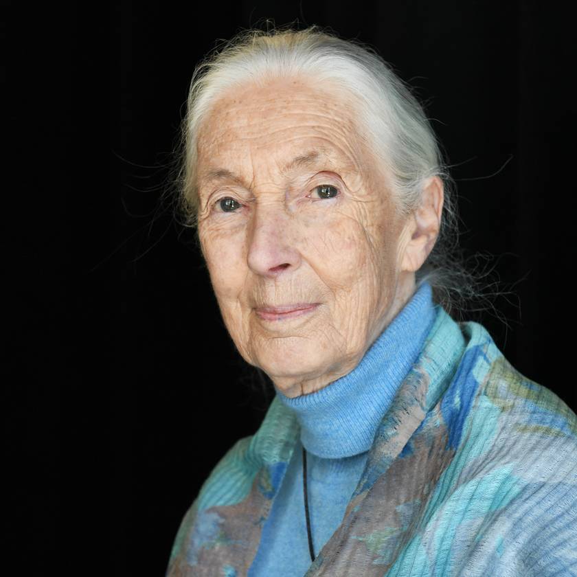 Jane Goodall személyesen üzent a magyaroknak: az új erdőtörvényről beszélt