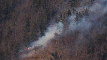 Kétszer annyi tűz ütött ki Horvátországban, mint tavaly