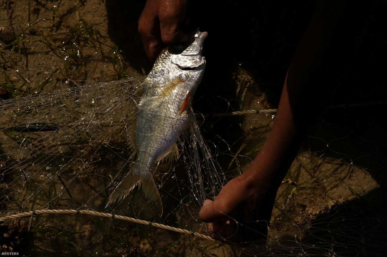Ratukali Madanawa atrapa un pez de su red