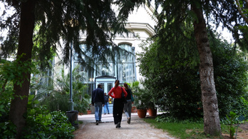A szobanövények a Füvészkertbe viszik sétálni az embereiket