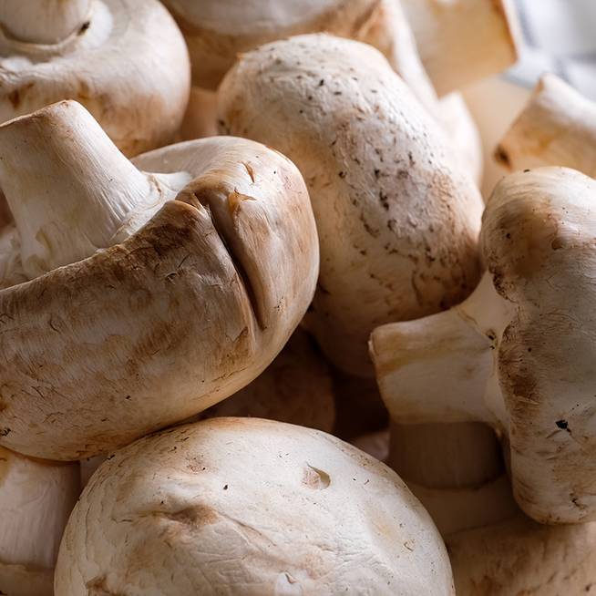 Hogy kell helyesen megtisztítani a gombát? A héja tele van vitaminnal