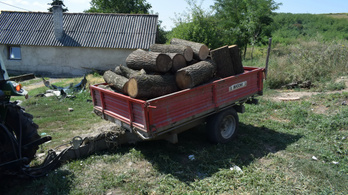 Húsz köbméternyi fát loptak Sajókazánál, amelyet tűzifaként árusítottak