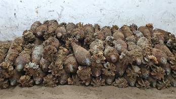 Egy családi ház kertjében 155 aknavetőgránátot találtak Szombathelyen