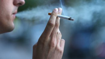 Megugrott a dohányzók száma Németországban egy járványkutató szerint