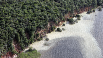 Esőerdő-szövetséget hoznának létre a természeti kincsek védelmében