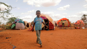 Éhínség fenyegeti Szomáliát, az aszály és az ukrajnai háború az oka