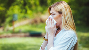 Őszi allergiaszezon: íme néhány tipp, hogy kevésbé kínozzon