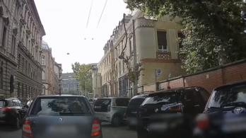 Egy hatalmas faág az alatta parkoló autóra zuhant Budapesten, a Józsefvárosban