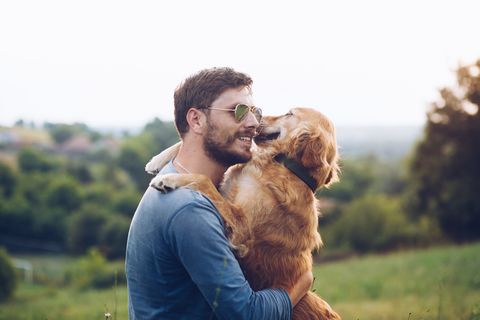 Tényleg jobban szeret a kutyád, ha mosolyogsz? Így értelmezi a mimikádat