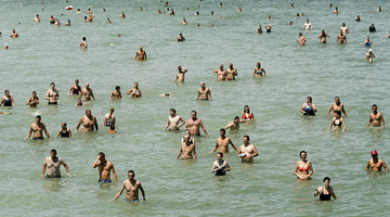 Közel nyolcezren úszták át a Balatont