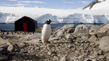 Betöltötték a világ legkülönlegesebb pozícióit az Antarktiszon