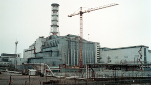 Fekete békák lepték el Csernobilt a robbanás óta