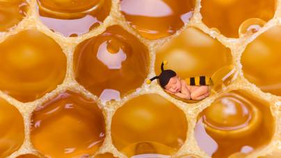 Fogadjunk, hogy a méznek ezen hatásairól még nem hallottál!