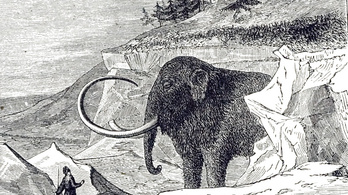 A CIA is beszáll, feltámasztanák a mamutokat