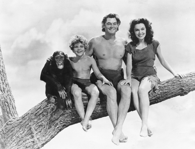 Hogy hívták Tarzan (Johnny Weissmüller) hűséges csimpánz barátját?
