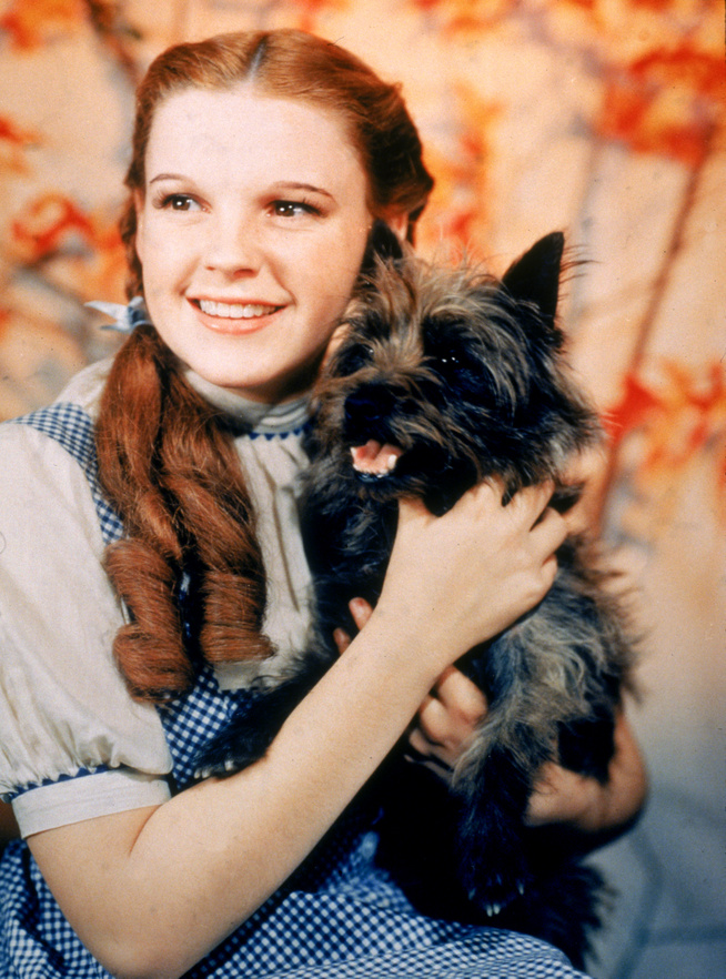 Melyik amerikai államból csöppen Óz földjére Dorothy és kutyája, Toto?