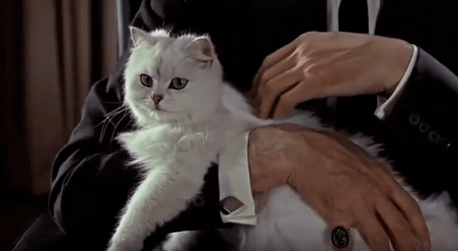James Bond melyik ellenfele látható sokszor egy fehér macskával az ölében?