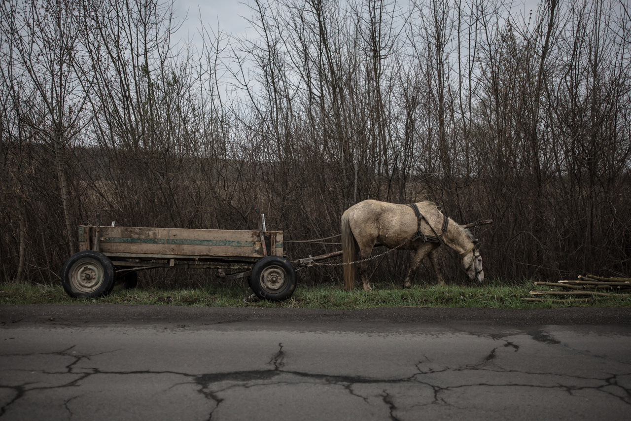 Gazda nélküli lovasszekér a Beregszászt és Munkácsot összekötő út mentén (2022. március)