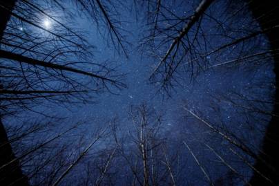 Miért tűnik úgy, mintha télen több lenne a csillag? Nem véletlenül ilyen gyönyörű az égbolt