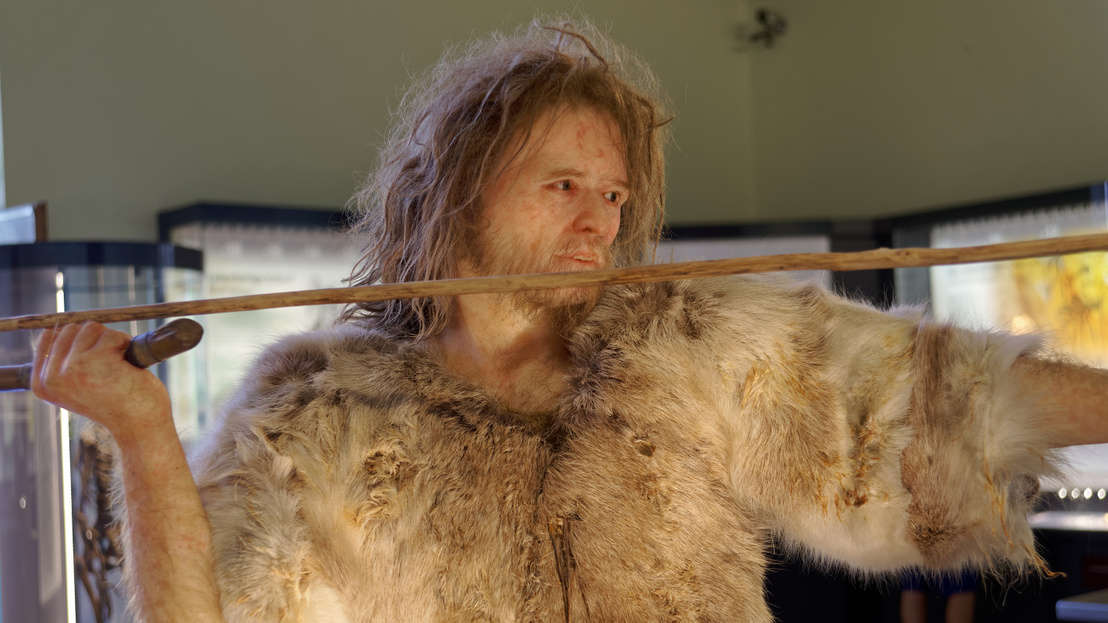 Homo neanderthalensis, The Natural History Museum Vienna, 202107