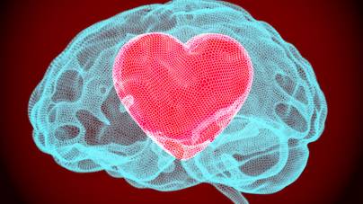 Tudtad, hogy szívednek saját agya van? Így üzen neked