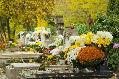 Így tovább szép marad a temetőbe vitt virág: 4 praktika, ami késlelteti a hervadást
