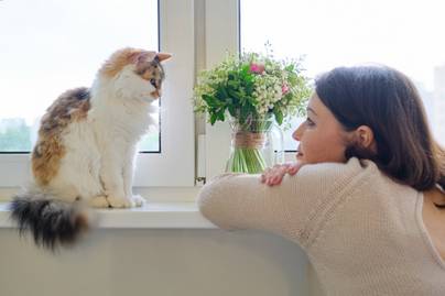 A macskák tudják, ha a gazdi hozzájuk beszél, csak magasról tesznek rá a kutatás szerint
