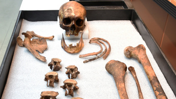 DNS-vizsgálattal oldották meg a több száz éves „vámpír” rejtélyét