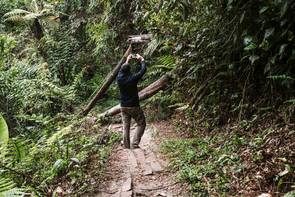 50 000 követőjét tudósította a TikTokon a dzsungelen átkelt menekülő férfi
