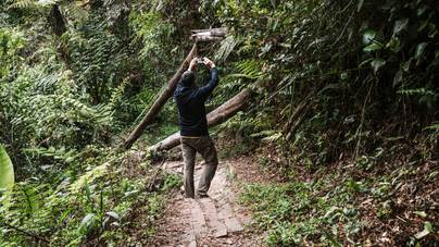 50 000 követőjét tudósította a TikTokon a dzsungelen átkelt menekülő férfi