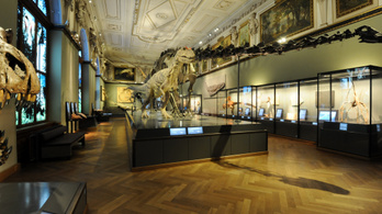 Bécsben dinoszauruszoknál akcióztak az Utolsó Nemzedék klímaaktivistái