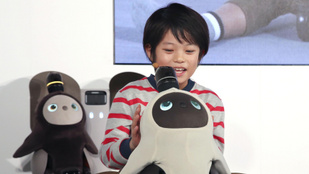 A legújabb japán robotot arra teremtették, hogy legyen kit szeretni