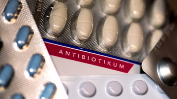 Egyre többen antibiotikum-rezisztensek