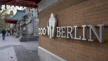 Madárinfluenza miatt váratlanul bezárták a berlini állatkertet