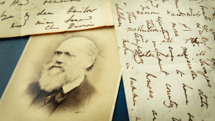 Világszenzáció az újonnan előkerült Darwin-kézirat