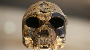 A világ egyik legnagyobb koponyagyűjteményének titkai