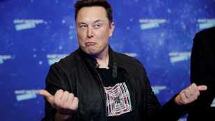 Elon Musk ismét szavaztat, ennek a két embernek adna kegyelmet Twitteren