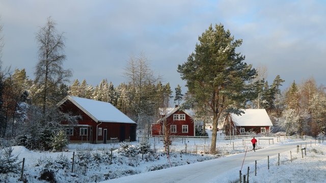 5 tipp, hogyan éljük túl a svéd telet