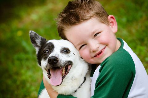A rohamjelző kutya megváltoztatta a család életét: kisfiukat óvja