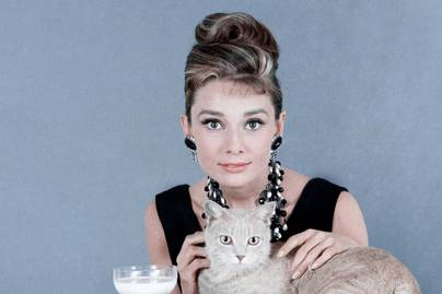 Ő Audrey Hepburn ritkán látott unokája: a 28 éves Emma így éli most az életét