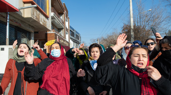 Megkorbácsolták az egyetemi kitiltások ellen tüntető afgán nőket