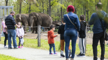 Több mint félmillió látogató volt a Nyíregyházi Állatparkban