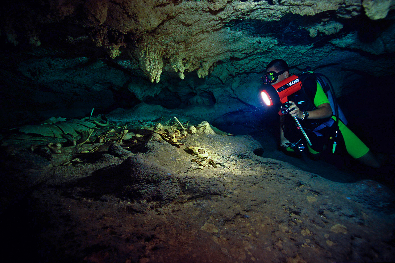 Teknőstemető. A malajziai Sipadan-sziget víz alatti barlangjaiban sok teknőscsontváz van, amelyek a barlangba betévedő teknősök maradványai. Malajzia, 1998