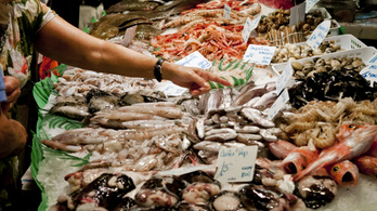 Ebben az európai országban fogyasztják a legtöbb halat