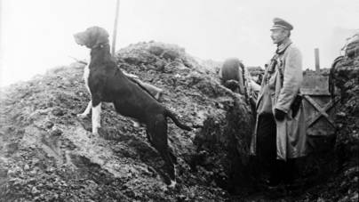 Egy kóbor kutya miatt tört ki a világ egyik legfurcsább háborúja
