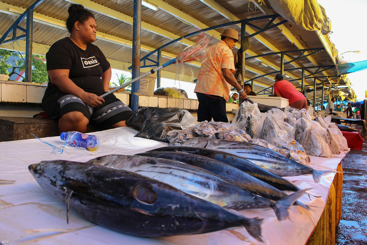 A Fidzsi-szigetek fővárosában, Suvában várja vevőit egy halárus. 