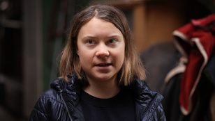 Greta Thunberg jogosan támadta Andrew Tate-et? A férfiak tényleg kompenzálnak a sportautókkal