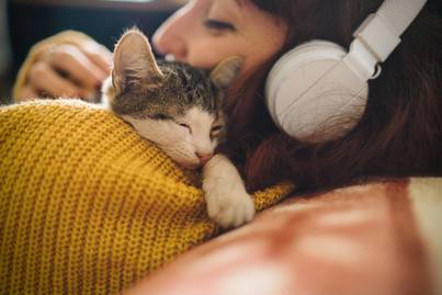 Miért szeret a macska a gazdi nyakához bújni? Több mindent is üzenhet ezzel a szokással