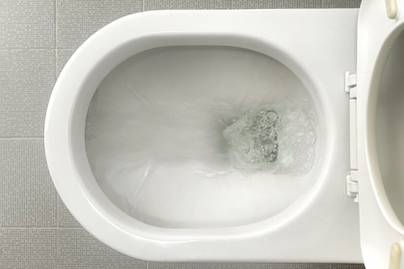 Vegyszer nélkül fertőtlenít a teafaolajas WC-tisztító: így készítsd el otthon
